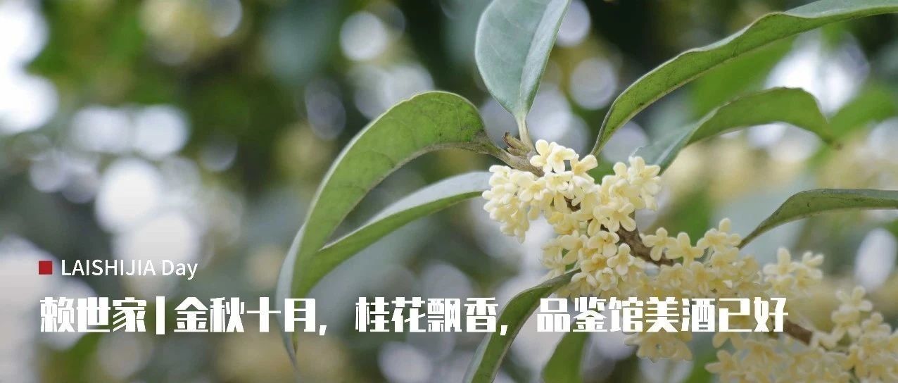 赖世家|金秋十月,桂花飘香,品鉴馆美酒已好